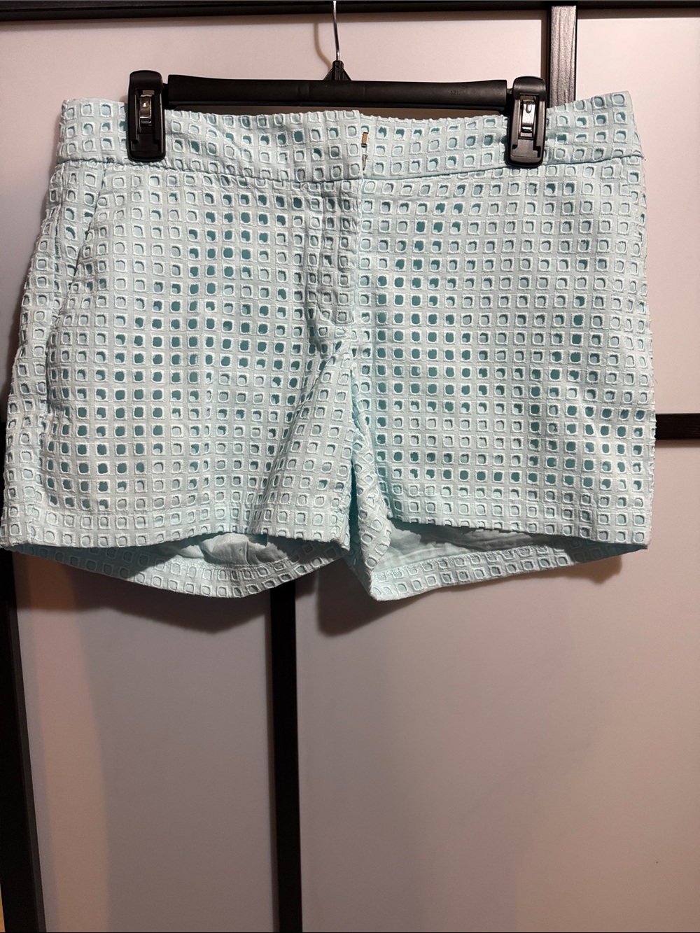Mint Eyelet Structured Shorts
